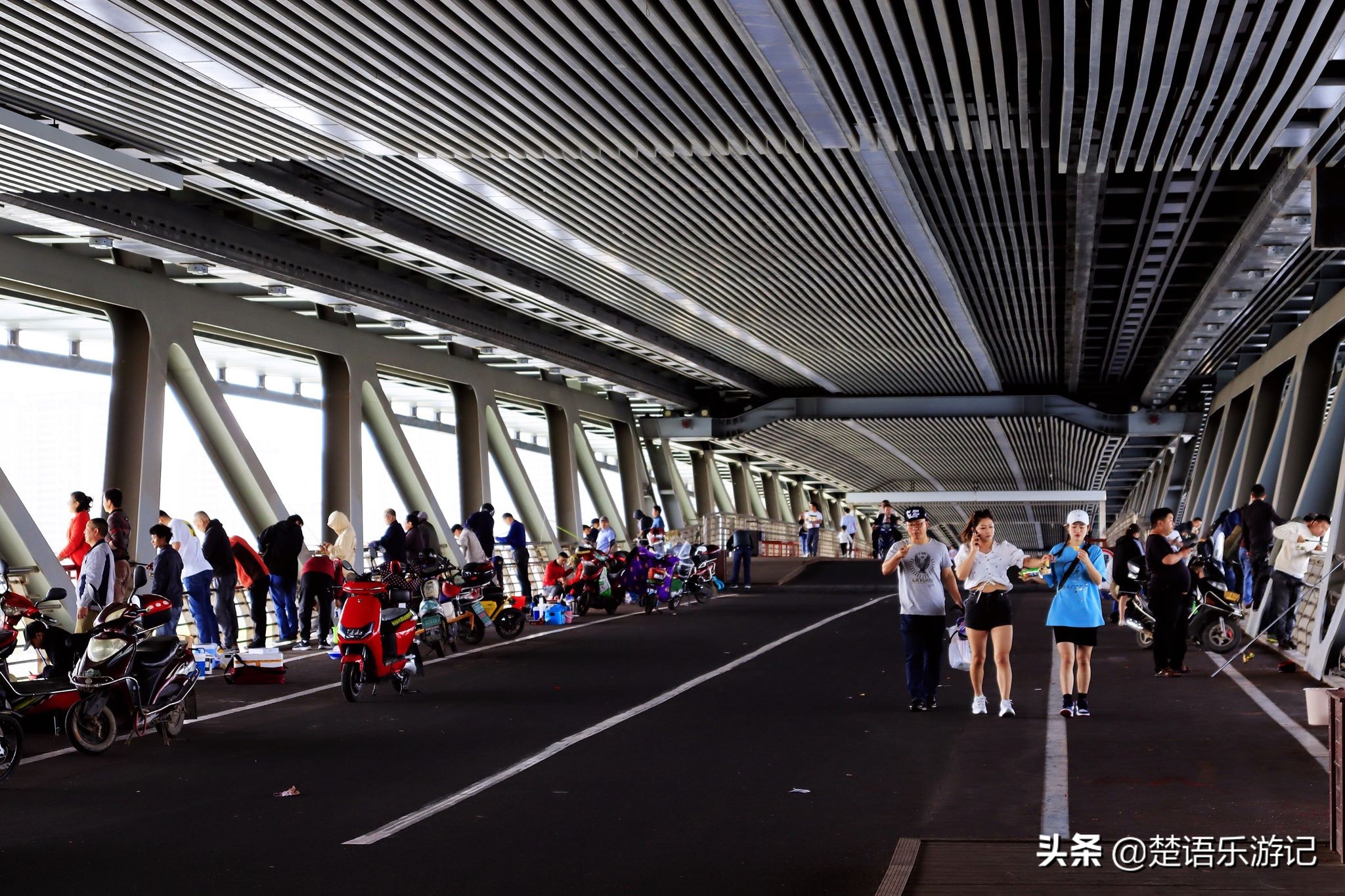 宁波大闸桥花海,宁波风景花海