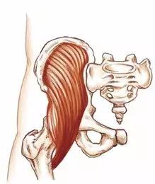髂腰肌紧张的原因是什么,髂腰肌紧张和腰方肌紧张