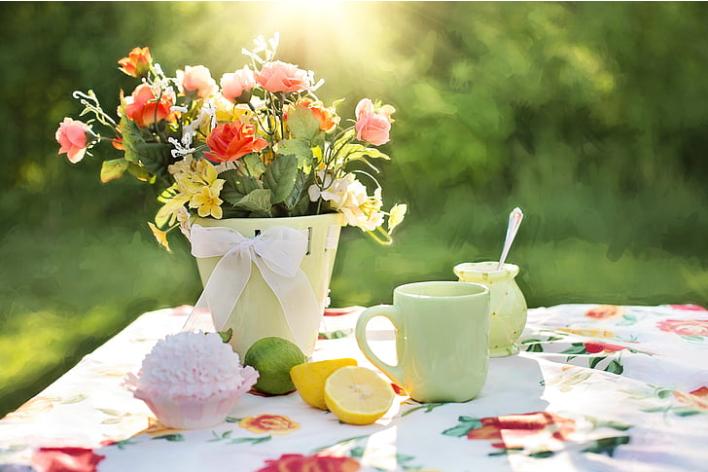 表示春暖花开的古诗词,春暖花开闻归雁的诗句