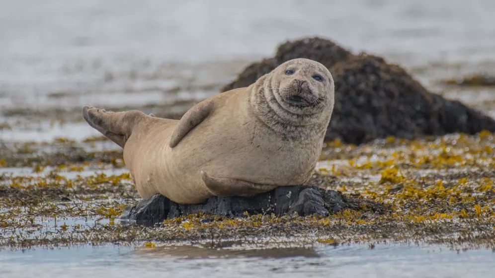 澳洲海外游学，我最推荐这座城市