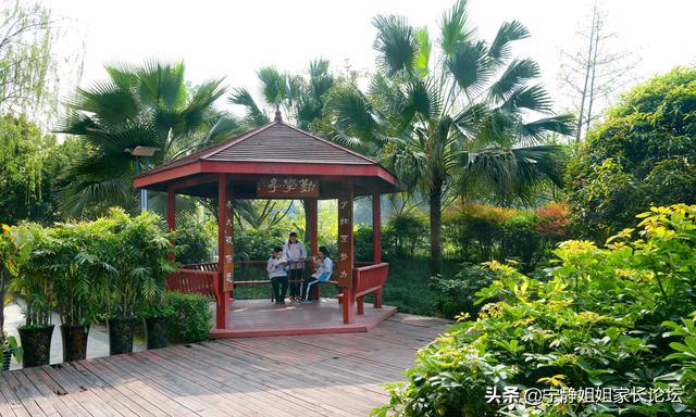 成都市盐道街中学高中2016录取分,锦江区盐道街初中录取分数线