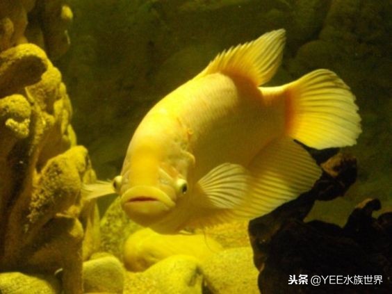 费尽了心思和精力,费尽了所有的心思