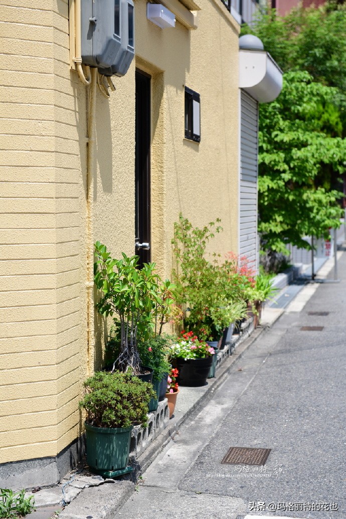 大阪街头随拍\暑假日本游