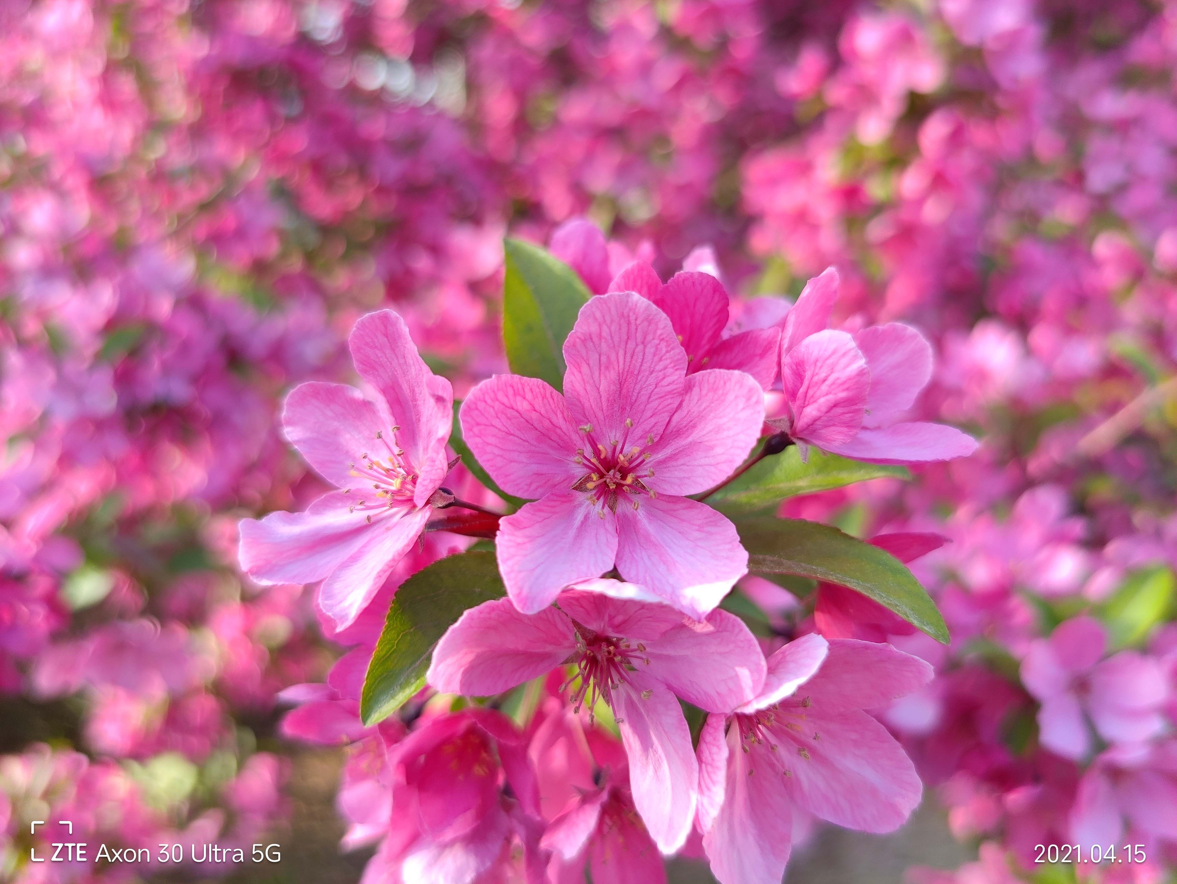 中兴axon30pro测评小白测评,中兴axon30ultra三千新机能入手吗