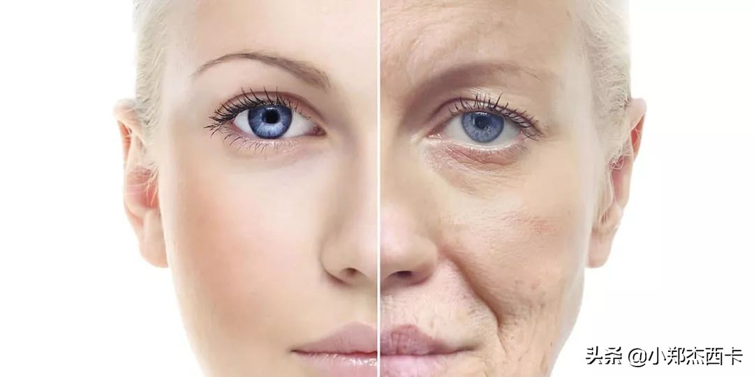 逆生长美容护肤,护肤抗衰逆生长