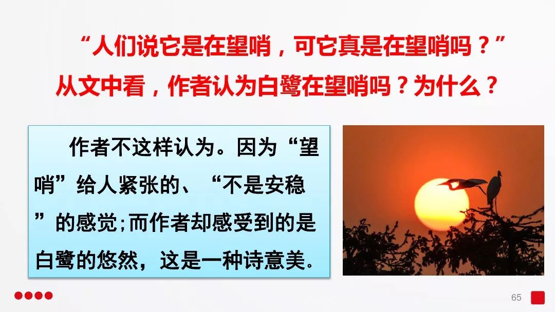 五年级部编版语文白鹭讲课视频,部编小学语文五年级上册白鹭课件