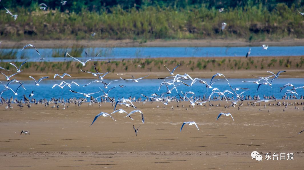 东台生态环境,东台宜居城市