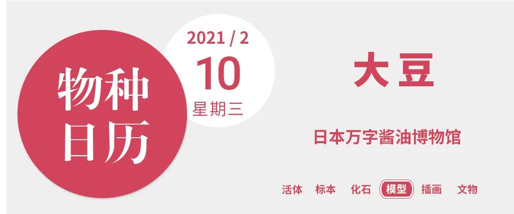 日本酱油起源书籍记载,酱油起源于中国哪里