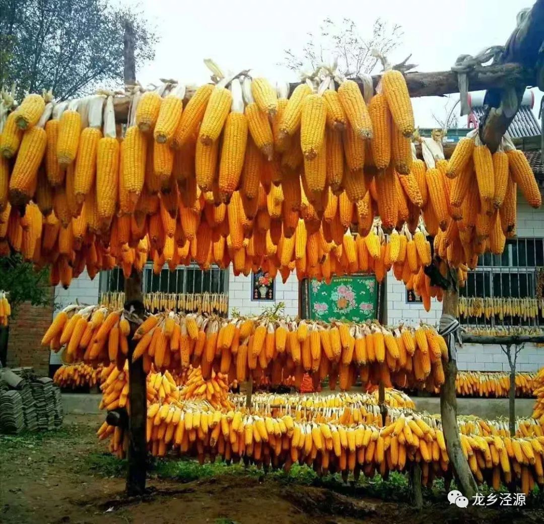 泾源秋天美景图片,泾源最美景色