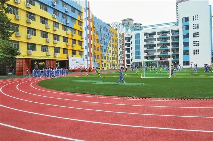 深圳市罗湖区前10所小学排名,2020深圳罗湖小学排名一览表