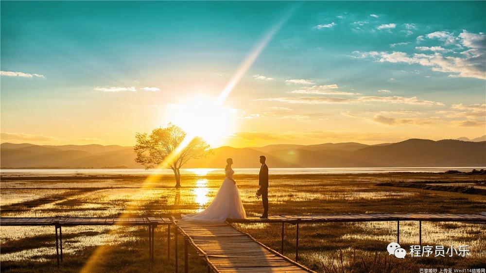 域名解析出来的IP地址,如何解析域名ip地址