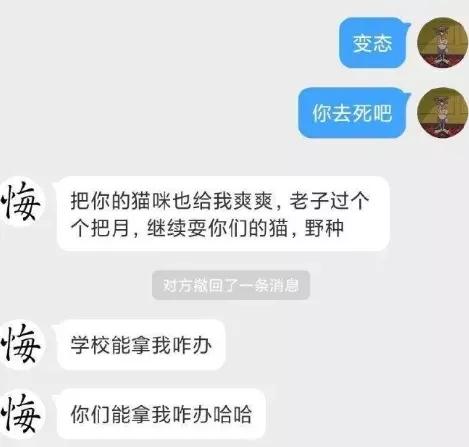 我为什么劝你别学医,在宿舍养猫很后悔