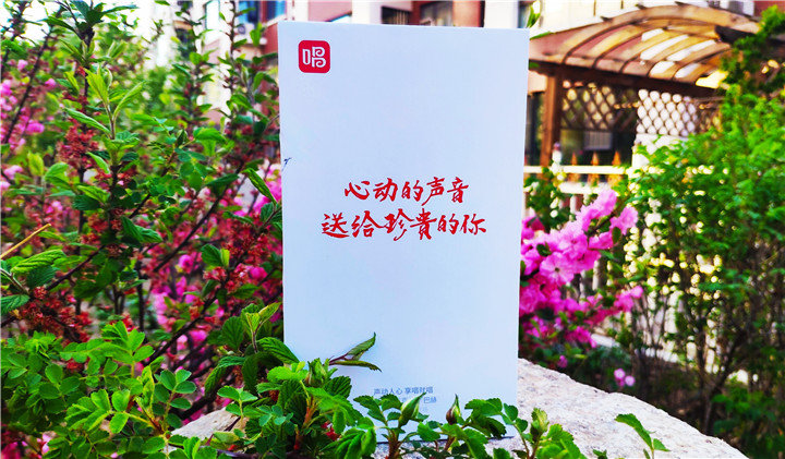 唱吧巴赫麦克风图片,唱吧巴赫麦克风连接电视