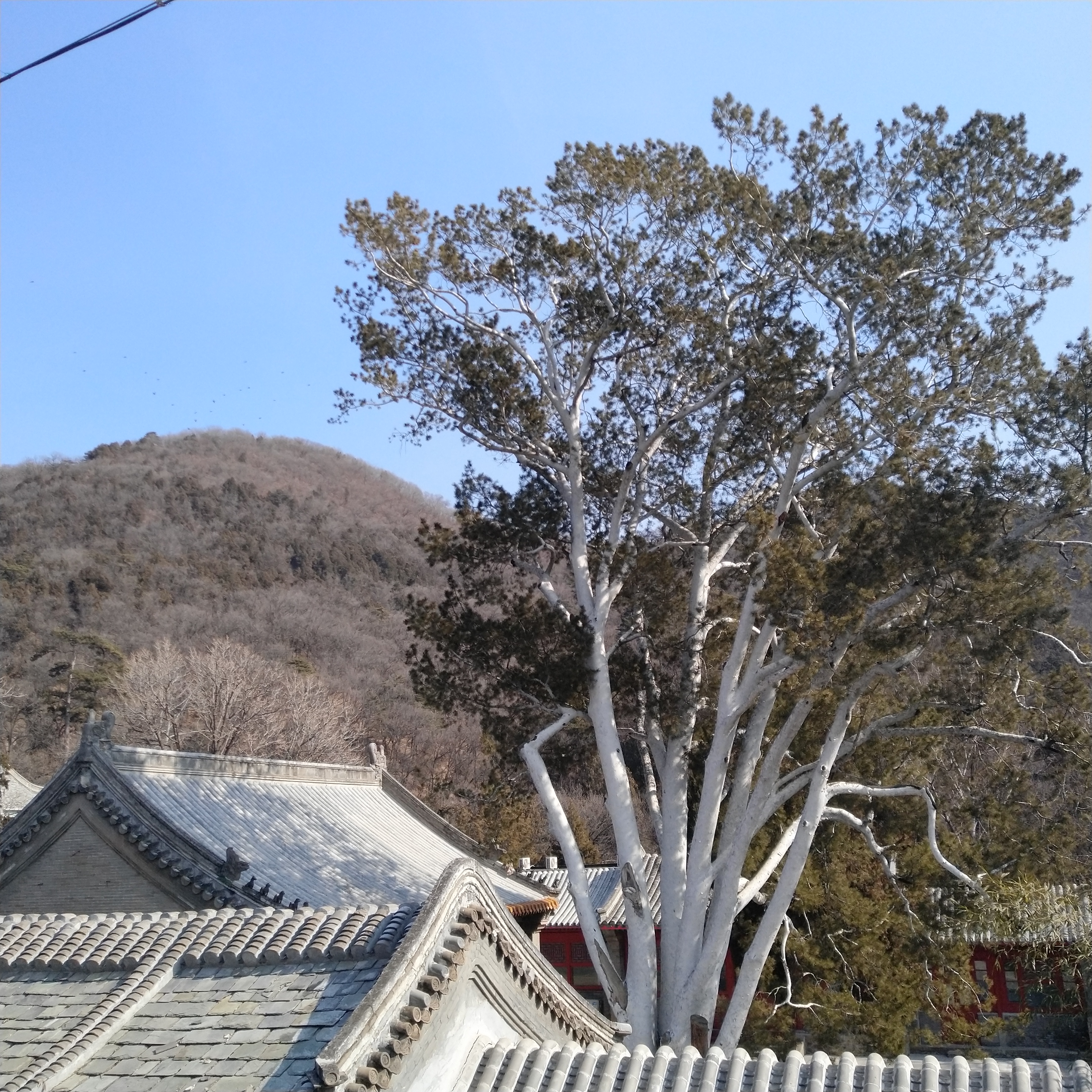 北京卢沟桥一日游,潭柘寺八奇洞一日游