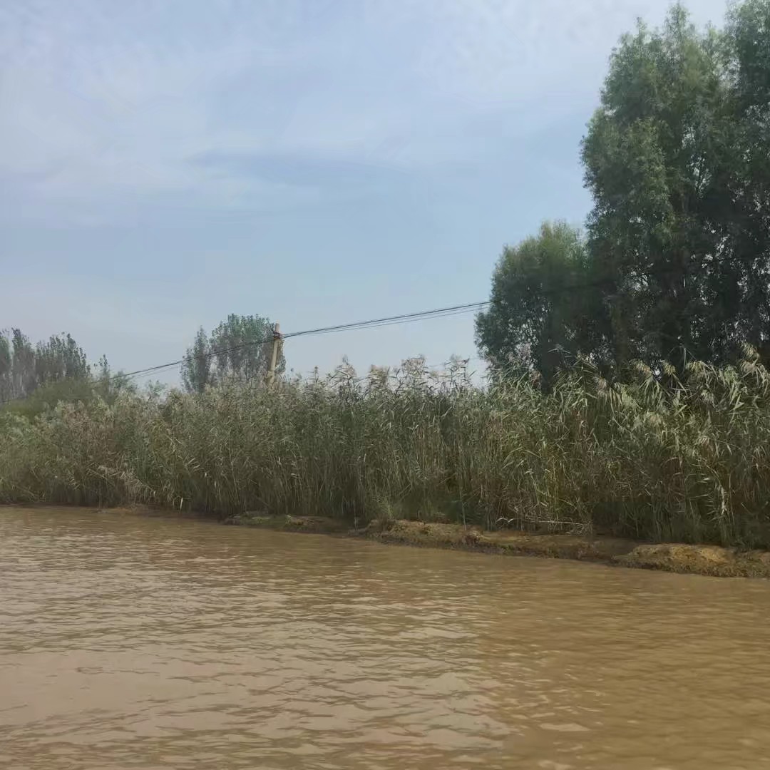 它，坐拥万亩荷花？它，也因《弹起我心爱的土琵琶》而耳熟能详？