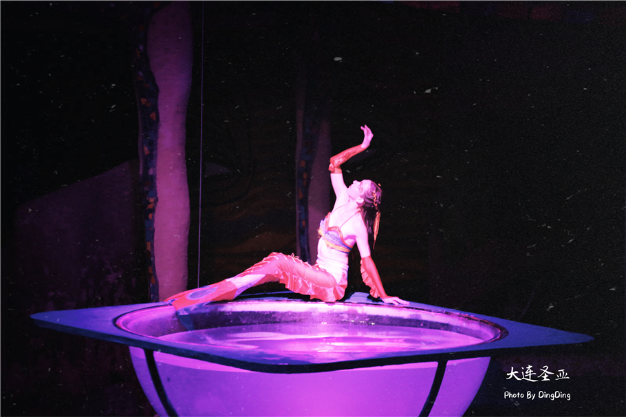 北方明珠活力四射的浪漫之都大连，国内最具特色的海洋世界圣亚