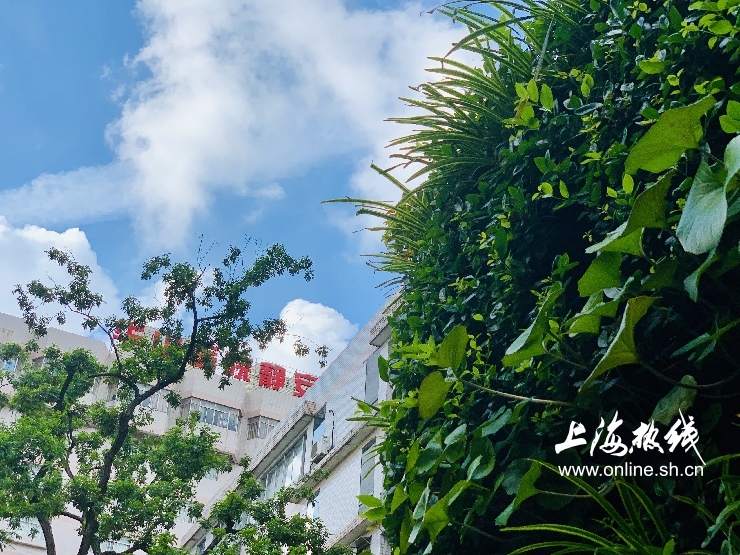 魔都100：藏在静安市中心最袖珍的公园重温老上海的儿时记忆