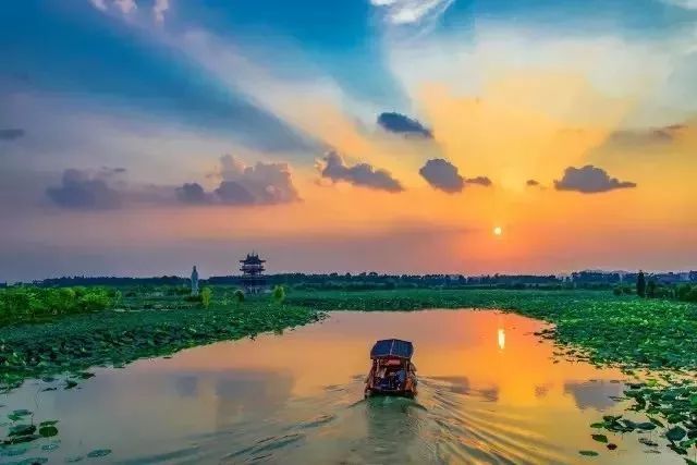 东莞麻涌大湾区,东莞麻涌田园生活