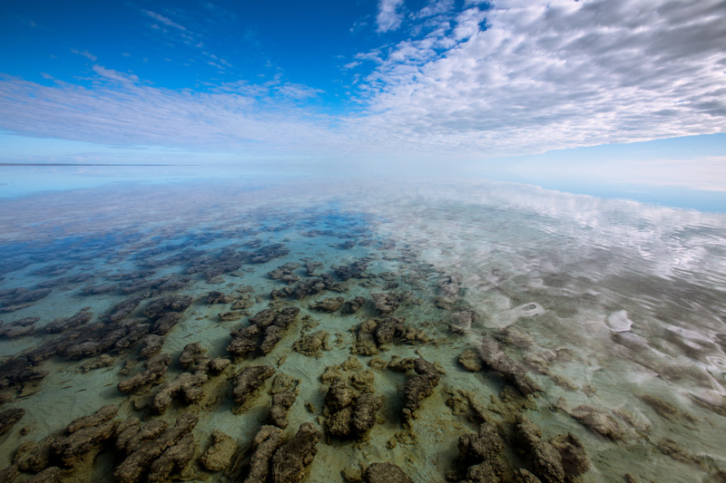 澳大利亚沙滩鲨鱼岛,西澳大利亚鲨鱼湾