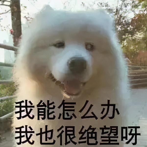 香喷喷正确使用方法,喷香满屋快速除味