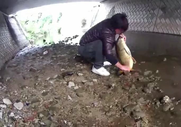 男子天桥底下钓鱼,男子桥下钓一条大鱼