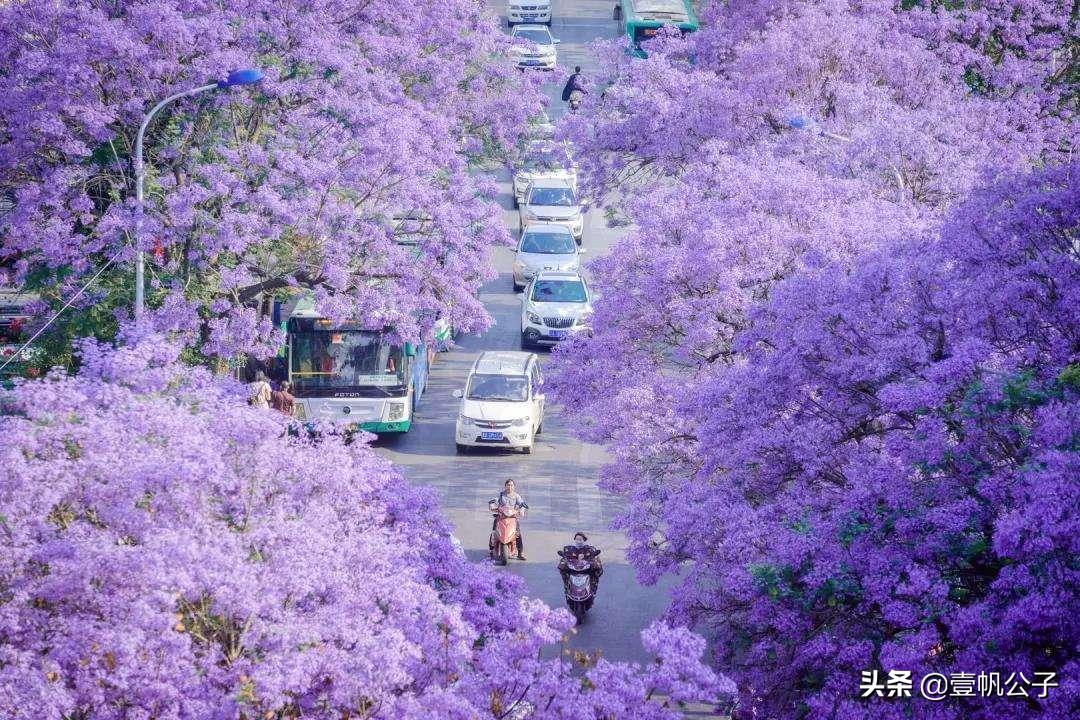 被大理的美景所折服,被丽江的风景美到了
