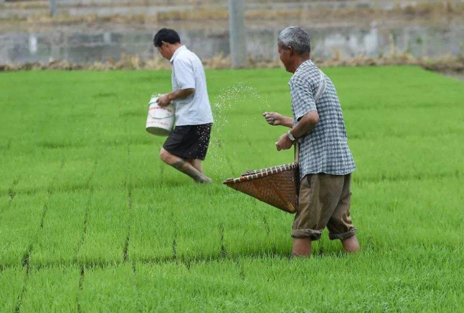 用什么菌剂修复土壤,生物菌改良土壤