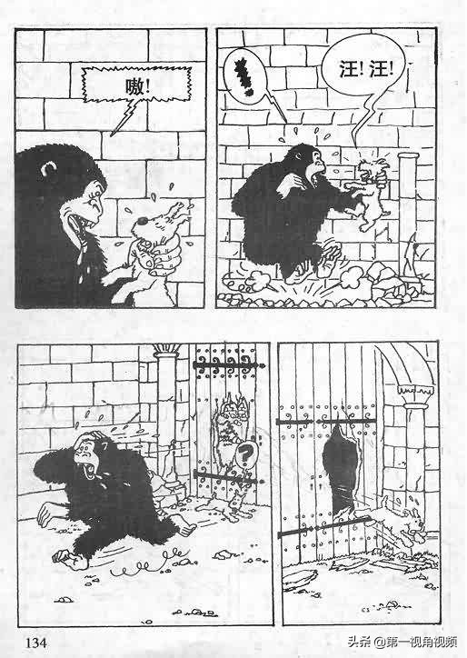 丁丁历险记刚果完整版,丁丁历险记西藏