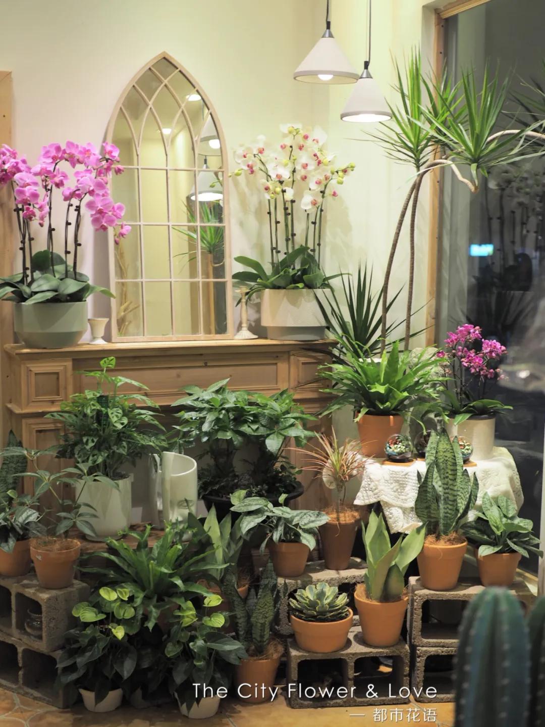 都市花语门票多少钱,都市花语免费阅读