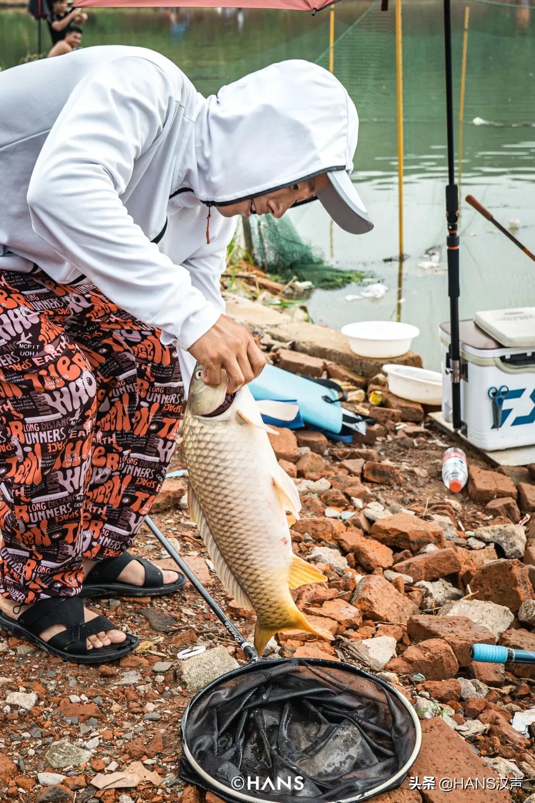 天元邓刚在湖北枣阳钓鱼的视频,武汉天元邓刚视频