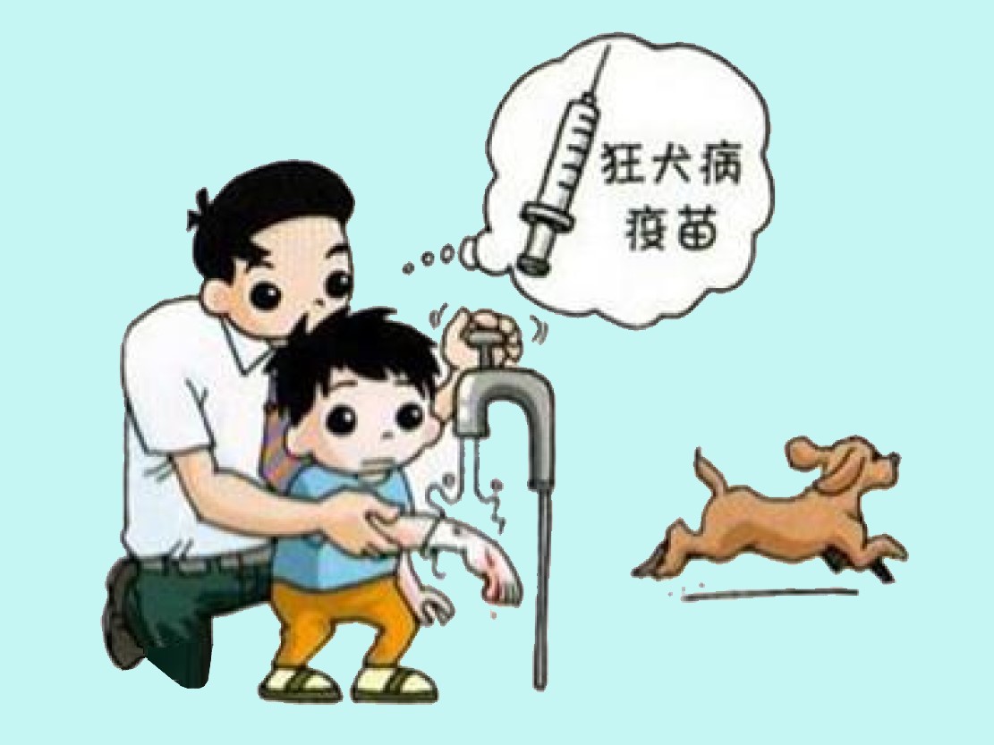 被狗咬有疯狗病吗,被疯狗咬后真的会像狗一样叫吗