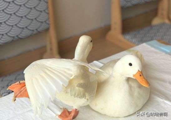 带你发现上海超治愈打卡地,上海人不会推荐的地方