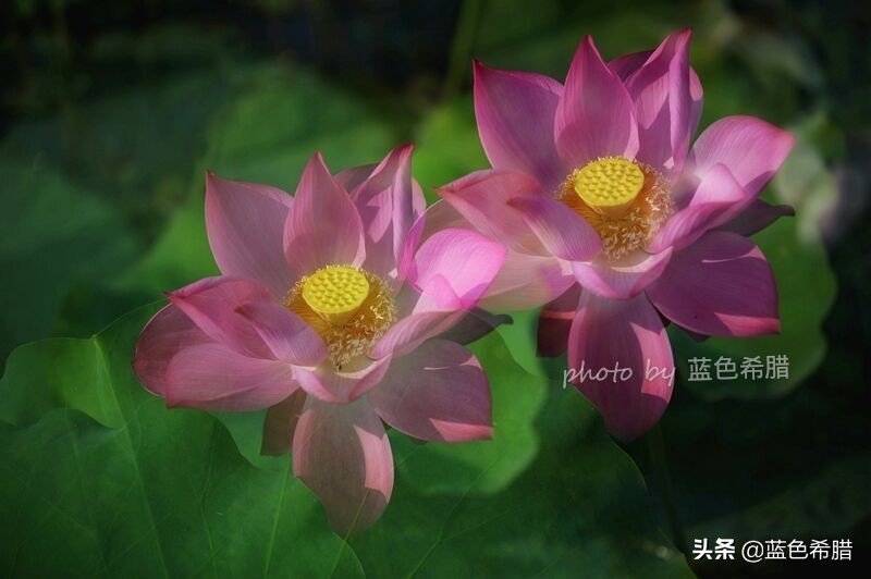 佳能5d370-200人像拍摄参数,佳能5d3拍出的照片带着详细参数