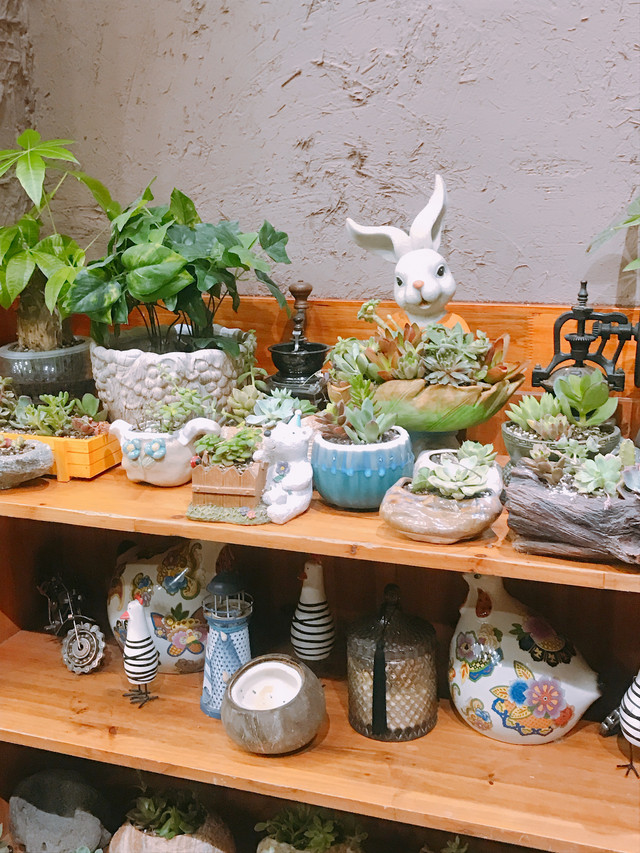 尖叫美食,尖叫海鲜餐厅推荐