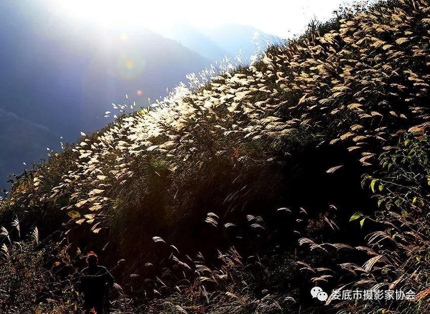 最新风景摄影小品欣赏,娄底景观小品