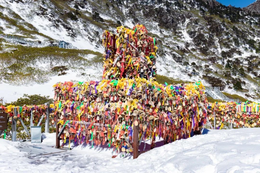 大理免费玩雪打卡的地方,元旦大理旅游攻略小众