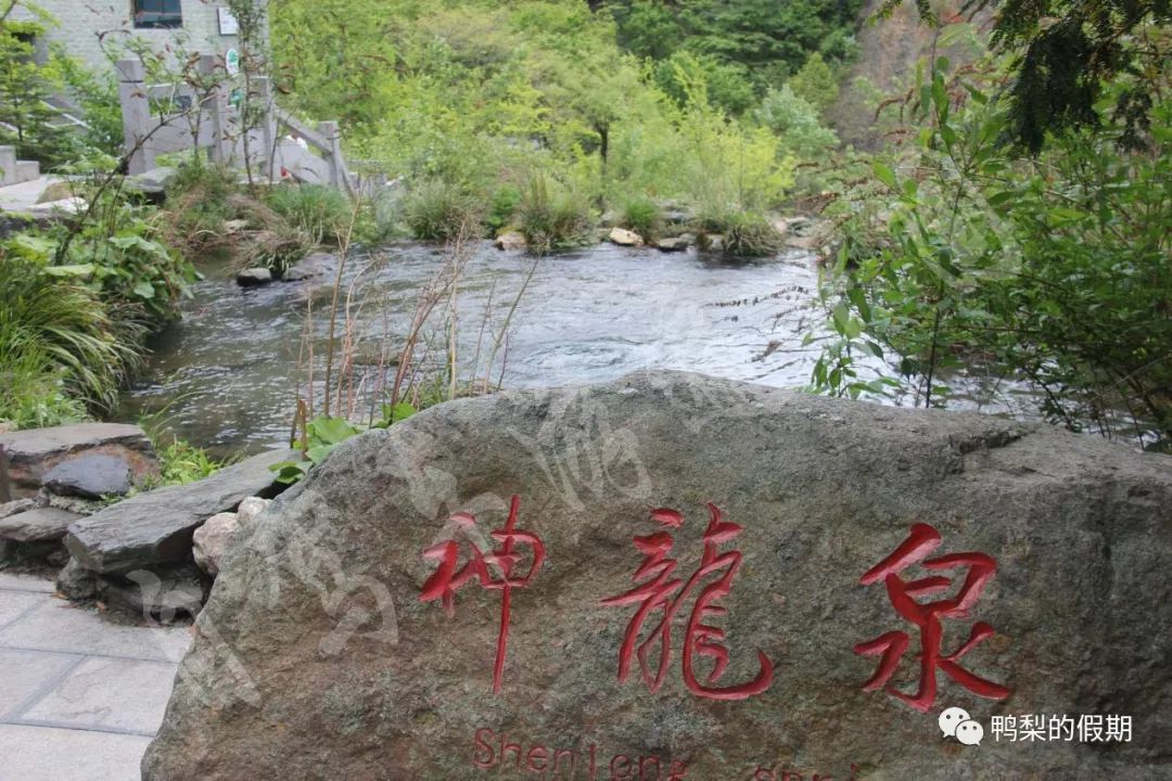 自驾车游遍中国之（一）——世界那么大，我想去神农架