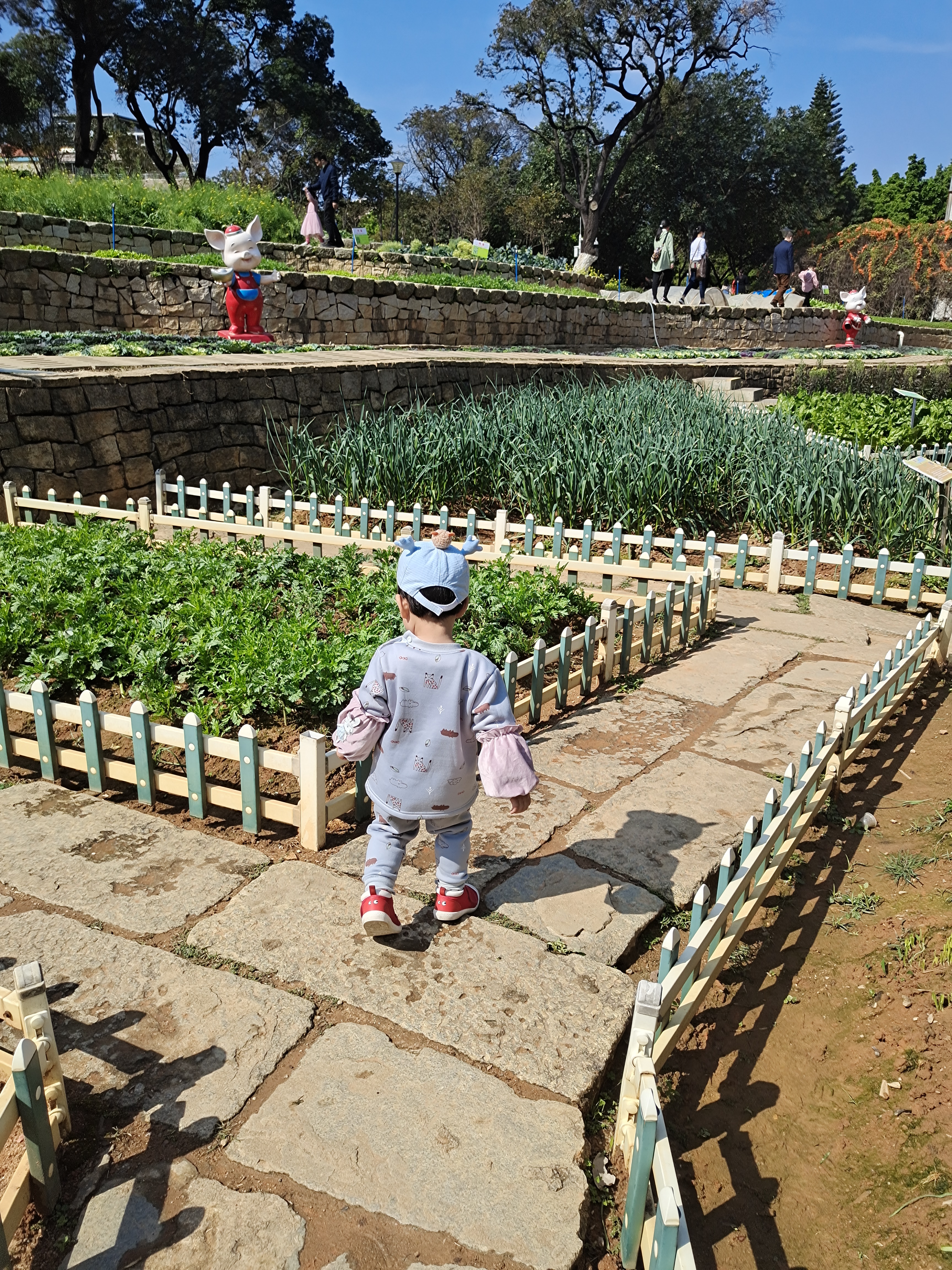 广州儿童公园成亲子乐园,2019广州儿童公园