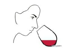 通过自己品鉴好喝的红酒,怎样品尝出红酒的年份