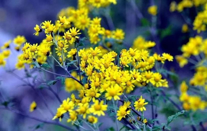 停课不停学却停了生活费,停课不停学每天时长