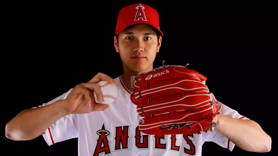 鏃ユ湰妫掔悆杞細鍒跺害,妫掔悆鑱旂洘杞細