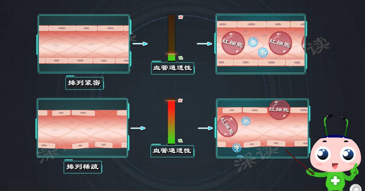 肾性过敏性紫癜多久出现血尿,肾型过敏性紫癜出现血尿时间