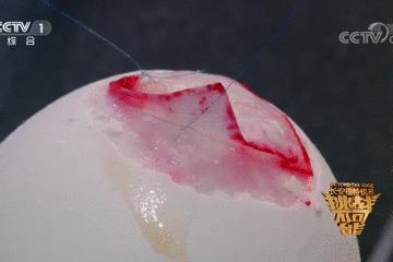 鸡蛋皮缝合手术,缝合鸡蛋膜视频教程