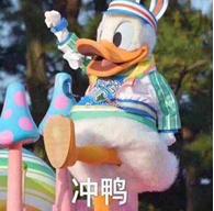 足球场上思考人生,足球励志精辟感言