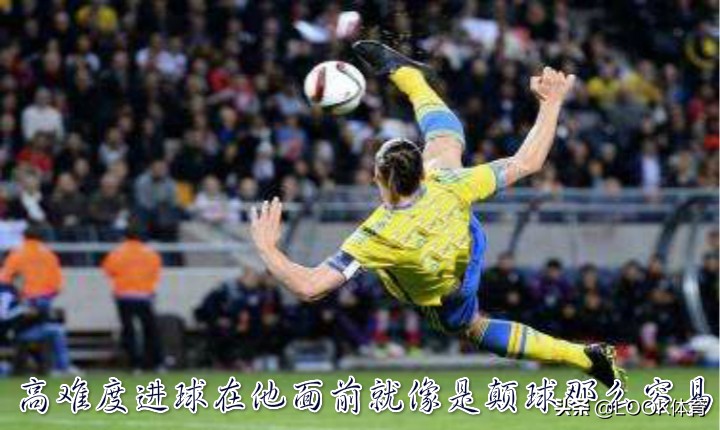 球迷挑战乔丹,球迷挑战球星