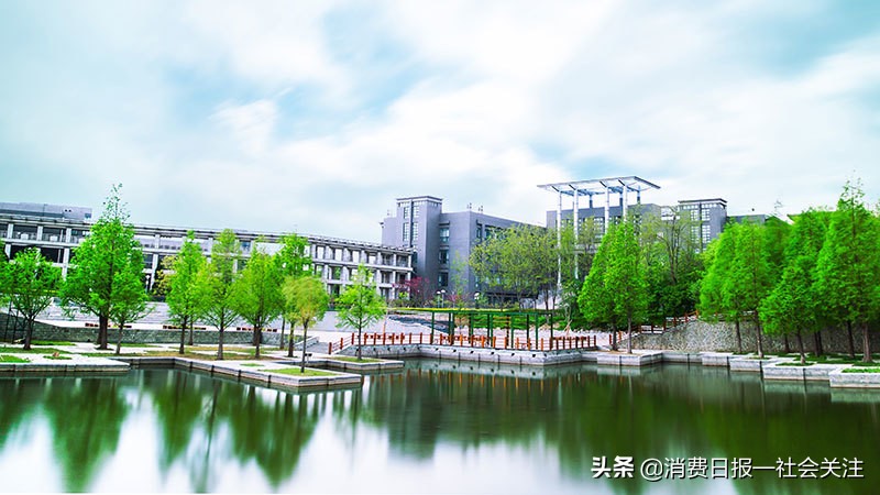 让数据说话,让数据说话的重要性