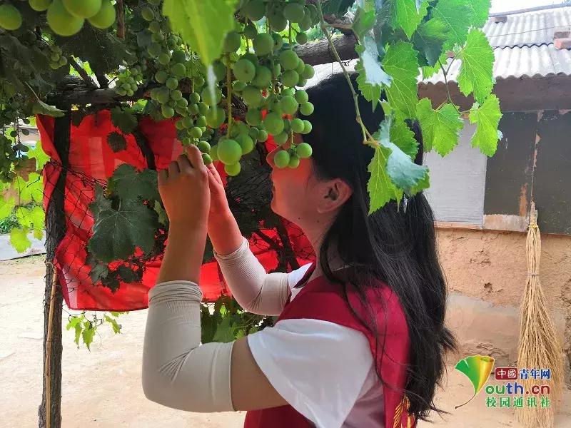 山西三下乡计划,大学生暑期三下乡乡村振兴方案
