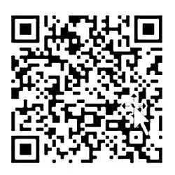 只卖宠物用品店创业新手入门,怎么0成本开宠物店