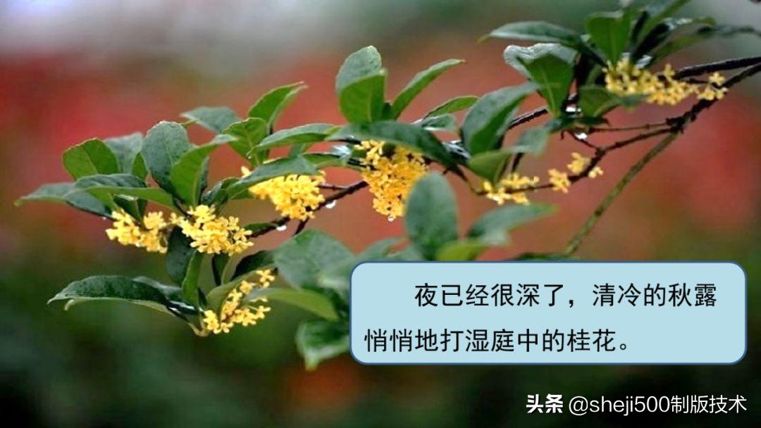 六年级下册语文3古诗三首知识点,部编版六年级下册第3课古诗三首