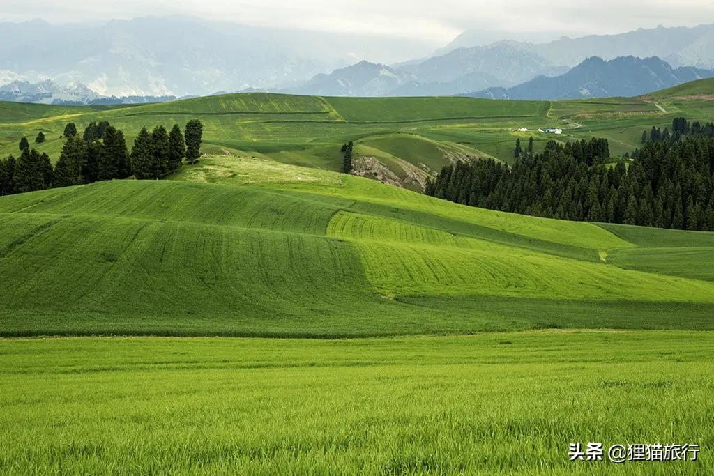 撤县设市新疆有哪些县,奇台2024年撤县设市有希望没